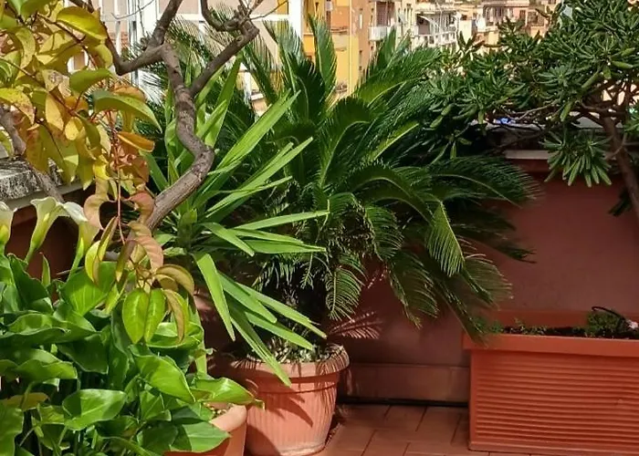 Appartement Attico Pavia Vicino Policlinico *